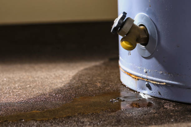  Stanley, ND Water damage restoration Pros