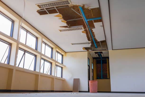 Best Fire Damage Restoration  in Stanley, ND