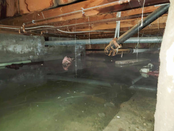 Best Flooded house restoration  in Stanley, ND