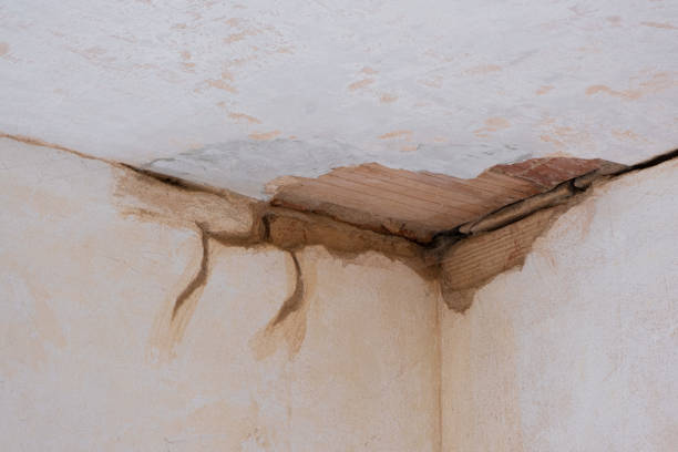 Best Commercial water damage restoration  in Stanley, ND