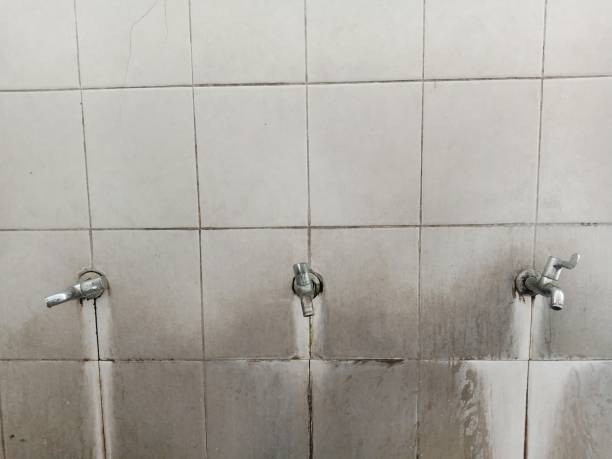 Best Flood restoration services  in Stanley, ND