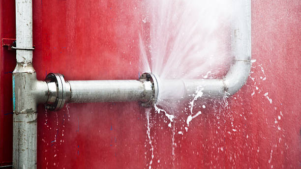 Best Water damage restoration near me  in Stanley, ND